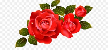 Rose Flower Clip art - Large Red Roses Clipart Element 