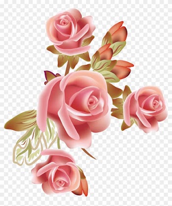 Rose Flower Clip Art - Pink Roses Vector Png