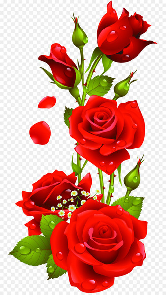 Rose Flower Clip art - Radha Krishna 