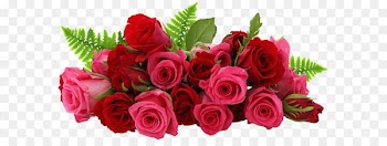 Rose Flower Clip art - Red and Pink Roses PNG Picture 