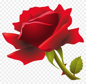 Rose Flower Clip Art - Red Rose Png