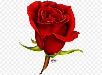 Rose Flower Clip art - Wedding Cartoon Psd 