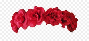 Rose, Flower, Crown, Red, Pink PNG