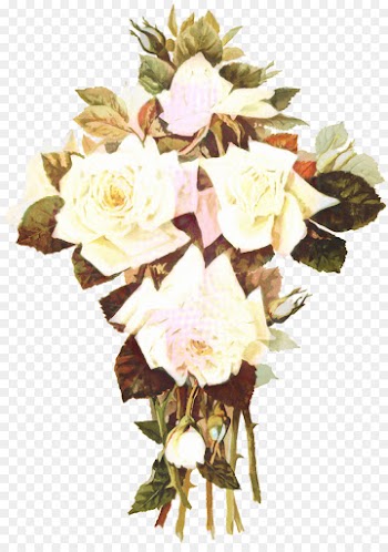 Rose, Flower, Cushion, Bouquet PNG