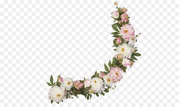 Rose, Flower, Cut Flowers PNG