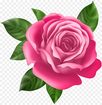 Rose Flower Desktop Wallpaper Clip art - rose 
