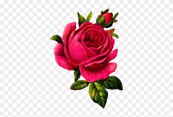 Rose Flower Download Digital - Illustration Png Vintage Rose