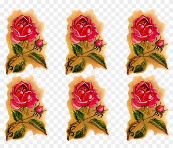 Rose Flower Downloads Clip Art - Garden Roses