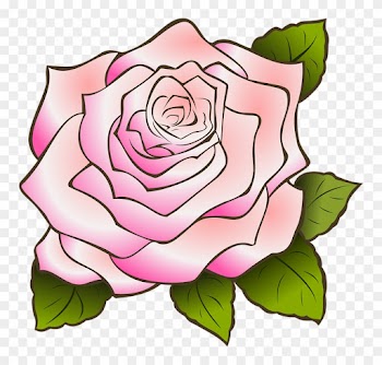 Rose Flower Drawing 4, - Pink Rose Clip Art