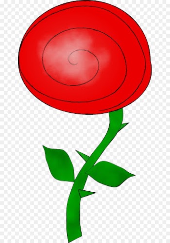 Rose, Flower, Drawing, Red, Botany PNG