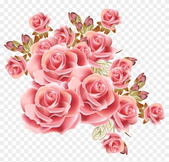 Rose Flower Drawing Stock Photography - Rose Background