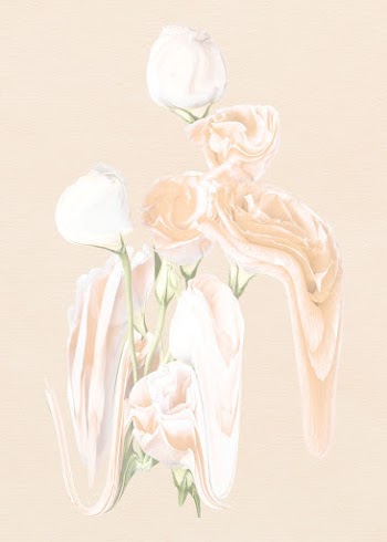 Rose flower element, pastel white trippy… | Free stock illustration | High Resolution graphic