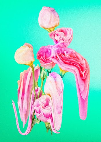Rose flower element, pink trippy psychedelic… | Free stock illustration | High Resolution graphic