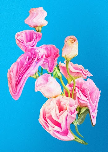Rose flower element, pink trippy psychedelic… | Free stock illustration | High Resolution graphic