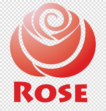 Rose Flower Floral design, Rose Rose material transparent background PNG clipart