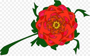 Rose, Flower, Flower Garden, Red PNG