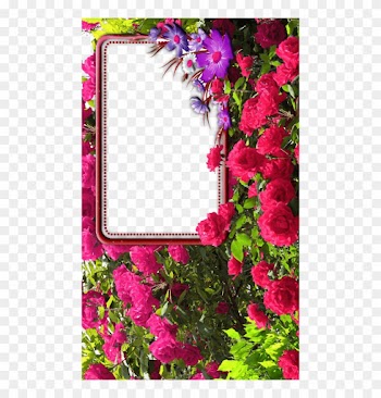 Rose Flower Frames Free Of Android Version M 1mobile - Rose Flower Photo Frame