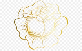Rose Flower Gold Clip art - Rose gold edge 