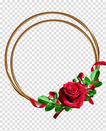 Rose Flower , Golden Rose Frame transparent background PNG clipart