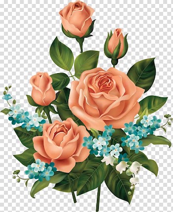 Rose Flower , Hand-painted rose transparent background PNG clipart