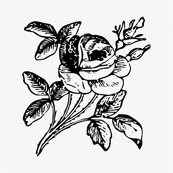 Rose flower illustration clipart vector. | Free Vector - rawpixel