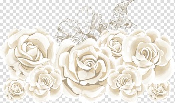 Rose Flower illustration, White roses, white roses transparent background PNG clipart