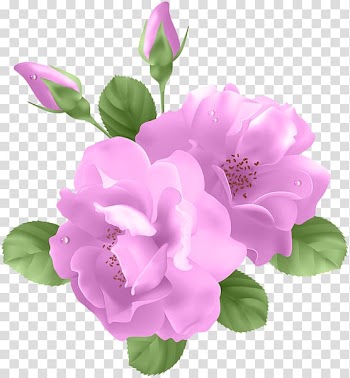 Rose Flower Lavender , purple watercolor flowers transparent background PNG clipart