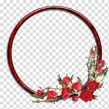 Rose Flower , oval frame transparent background PNG clipart