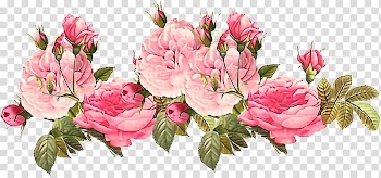 Rose Flower Paper , rose transparent background PNG clipart