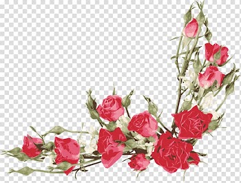 Rose Flower Petal , Watercolor roses transparent background PNG clipart