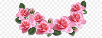 Rose Flower Pink Clip art - Pink Roses Decoration PNG Clipart Image 