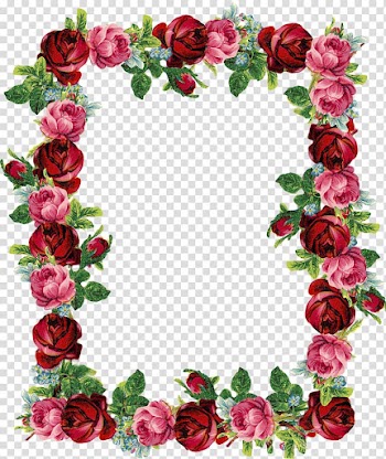 Rose Flower Pink , Park Frame transparent background PNG clipart