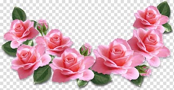 Rose Flower Pink , Pink Roses Decoration , pink rose illustrations transparent background PNG clipart