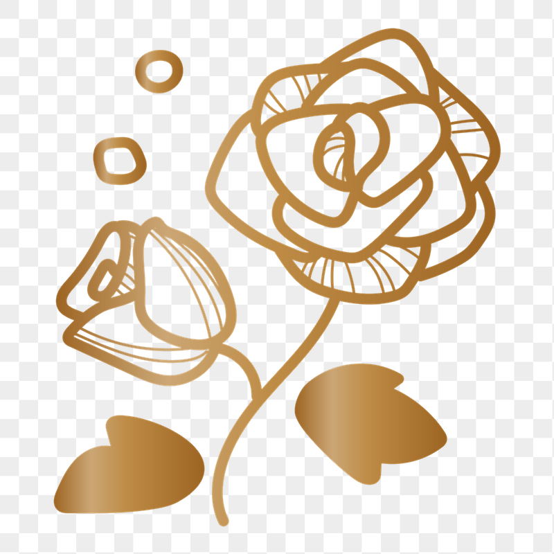Rose flower png doodle sticker, | Free PNG - rawpixel