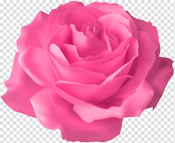 Rose Flower Purple , rose transparent background PNG clipart
