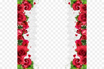 Rose Flower Red Clip art - Romantic Rose Decorative Border 