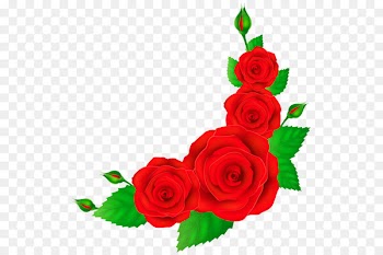 Rose Flower Red Pink Clip art - Rose lace material 