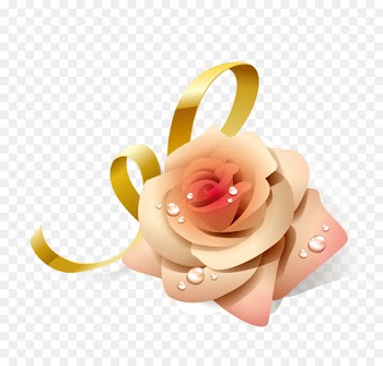 Rose Flower - Romantic floral material 