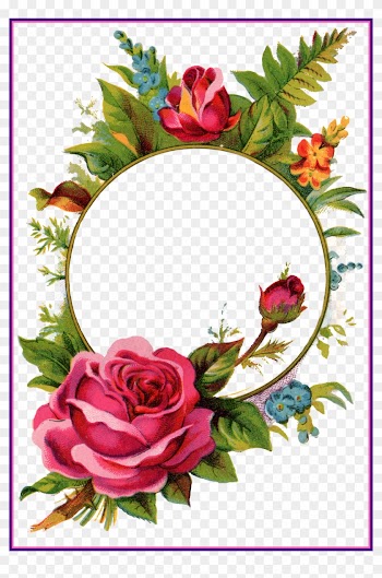 Rose Flower Rose Flower Frame Best Pix For U Vintage - Png Rose Frame