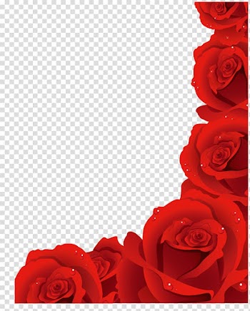 Rose Flower , rose transparent background PNG clipart