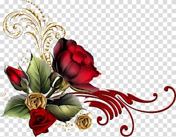 Rose Flower , rose transparent background PNG clipart