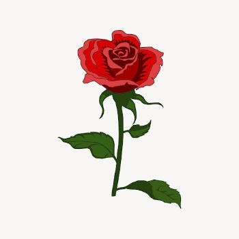 Rose flower sticker, Valentine's illustration | Free PSD - rawpixel