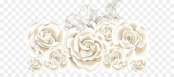 Rose Flower Stock illustration - White roses 