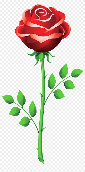Rose Flower Vector Png