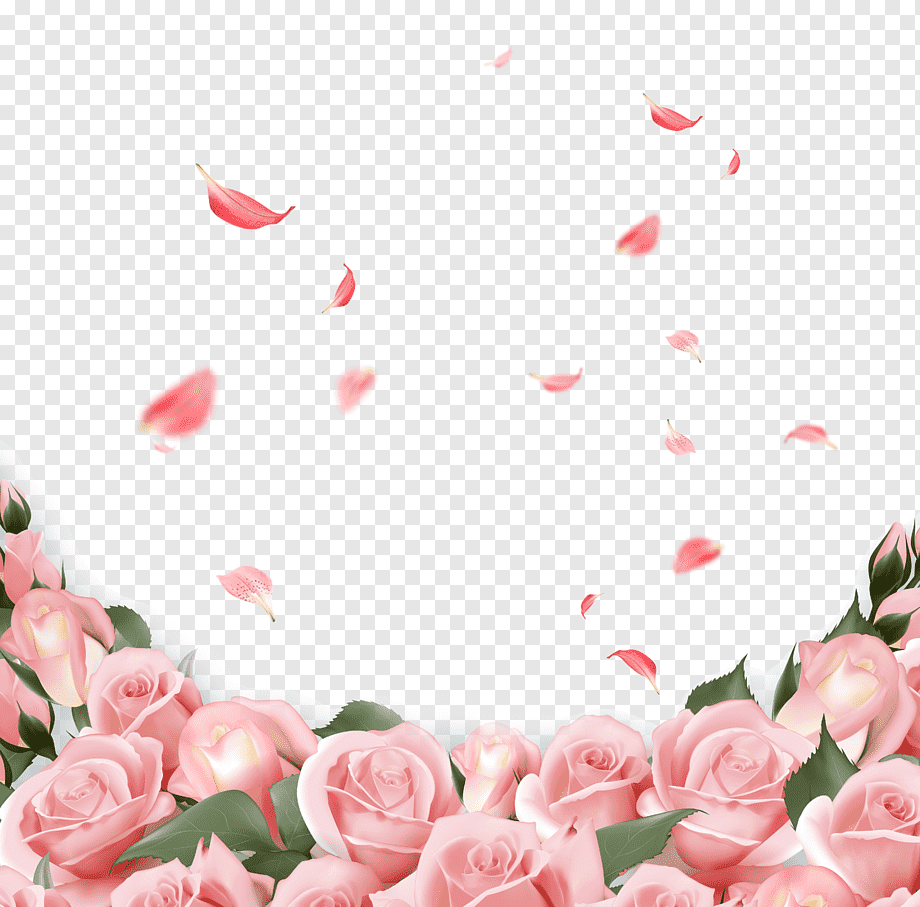Rose Flower Wedding invitation Pink, Pink Rose, pink rose flowers illustration, love, botany, flower Arranging png