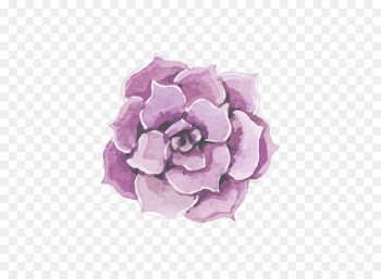 Rose Flower Wedding Pink - Hand Painted,flower,poster 