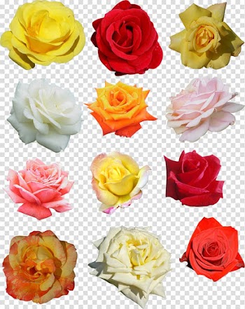 Rose Flower Wreath Crown Headband, headbands transparent background PNG clipart