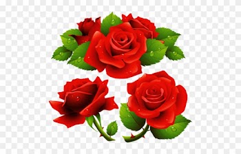 Rose-flowers1 - Rose Flower Frames Design
