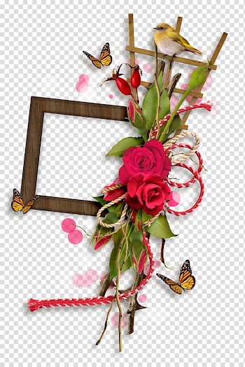 Rose frame transparent background PNG clipart