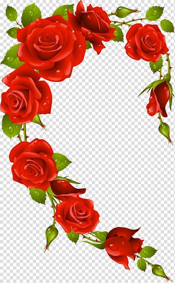 Rose Frames , rose frame transparent background PNG clipart